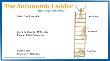 Autonomic Ladder